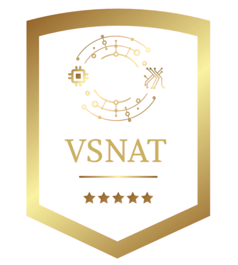 Логотип VSNAT